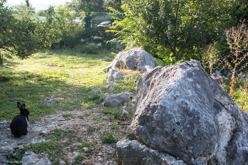 Agrotourism Matusko Konuk evi Neum Dış mekan fotoğraf